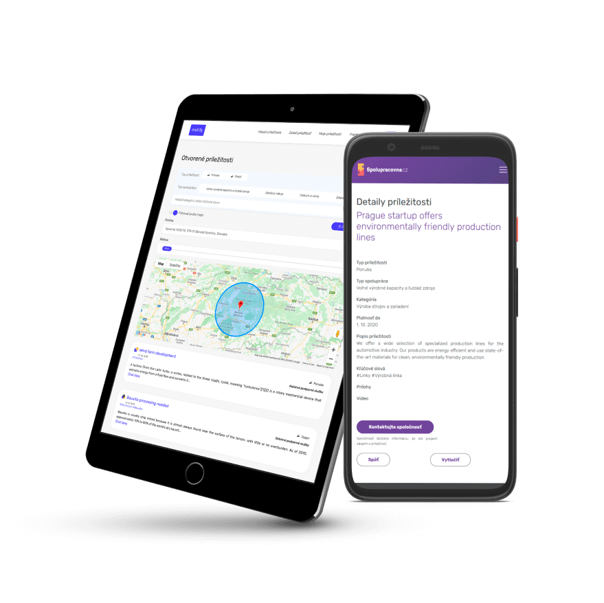 Zynctos Consulting — náhľad zadania